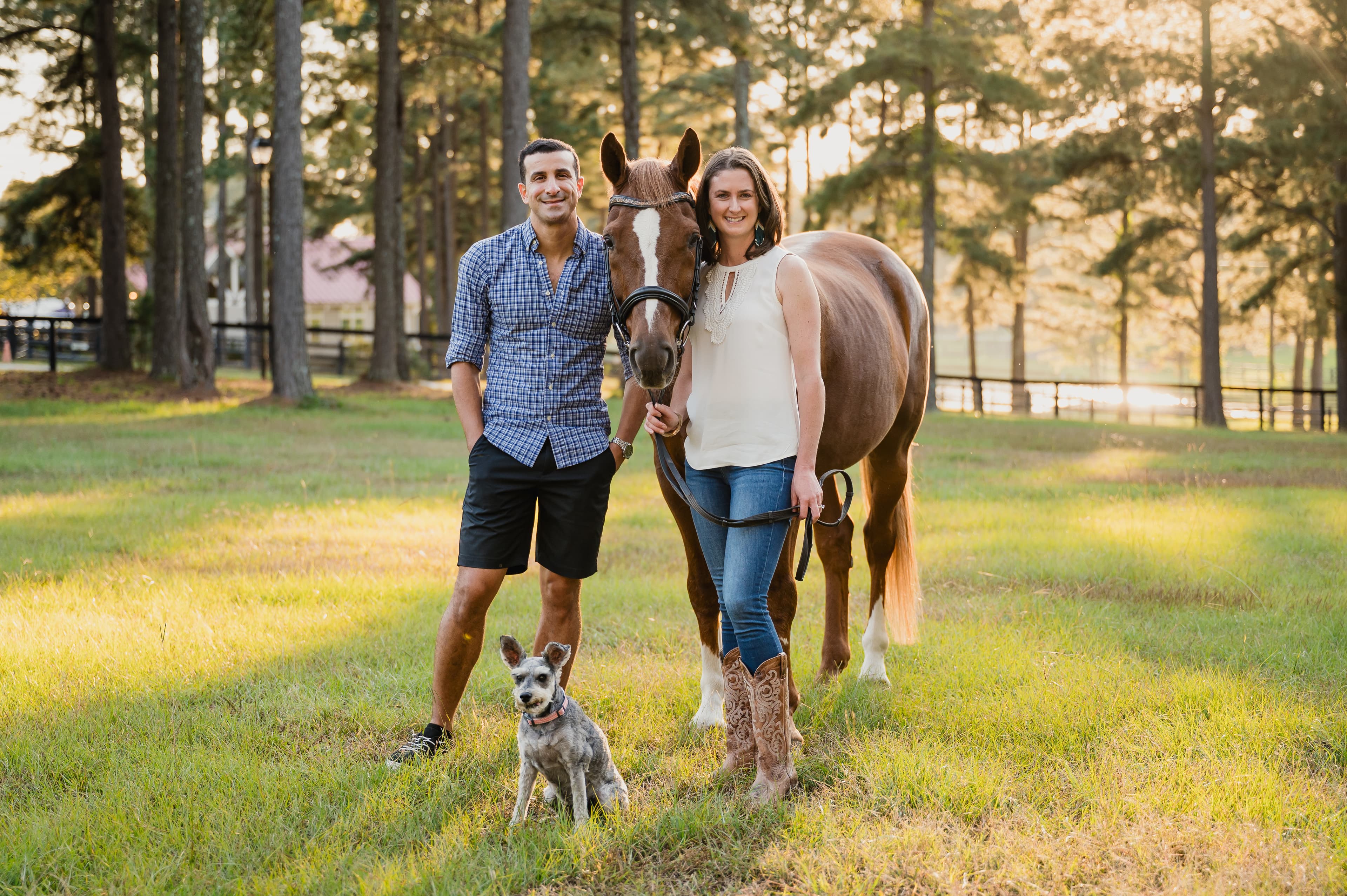 Suppl founders with horse in the barn environment