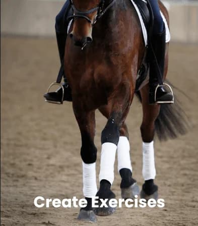Create Exercises feature tile with a horse moving in the arena