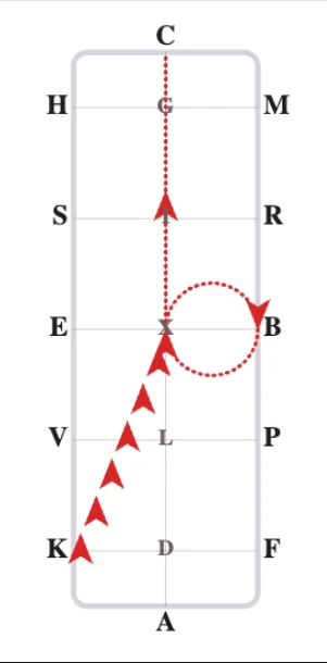 Dressage arena diagram in red showing leg yield and 10 meter circle movements