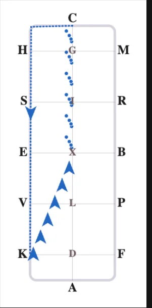 Dressage arena diagram in blue showing leg yield and shoulder-in movements